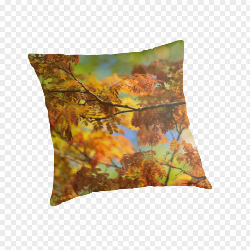 Autumn Colours Throw Pillows Cushion Brown PNG