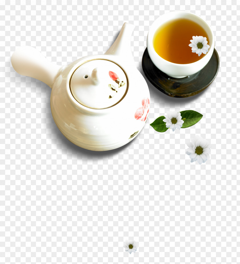 Chrysanthemum Tea Flowering Earl Grey Xd7grandiflorum PNG
