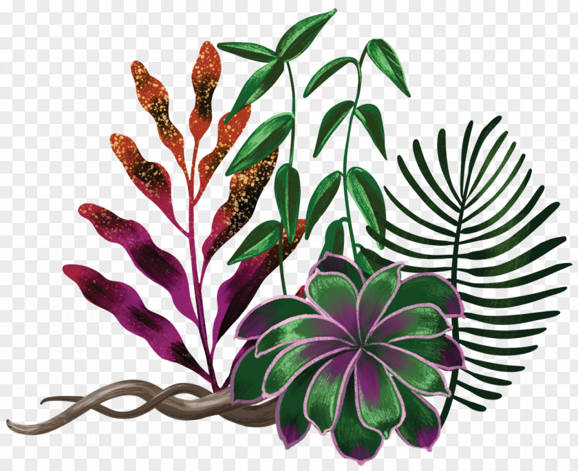 Enlightenment Botanical Illustration Art Floral Design Ayahuasca PNG