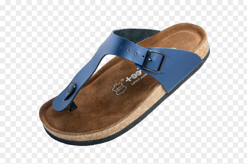 Foot Pain Slipper Flip-flops Slide Sandal Shoe PNG