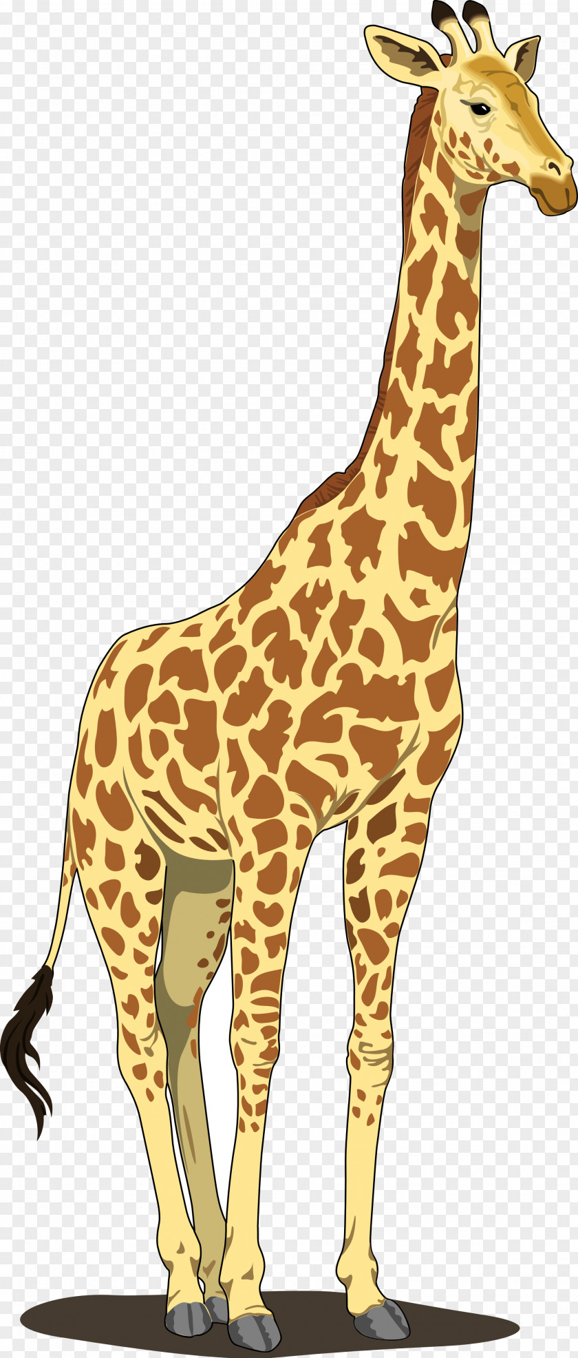 Giraffe Blog Clip Art PNG