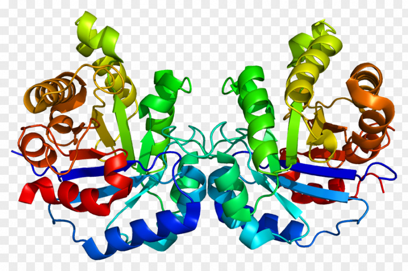 Hepatotoxicity Liver Metabolite Microsome PNG