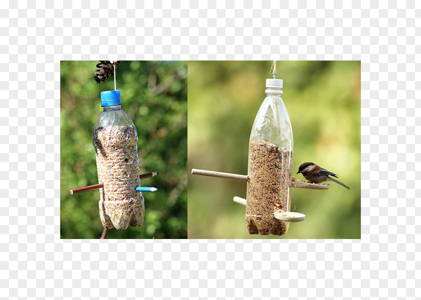 Bird Feeders Plastic Bottle Feeding Recycling PNG