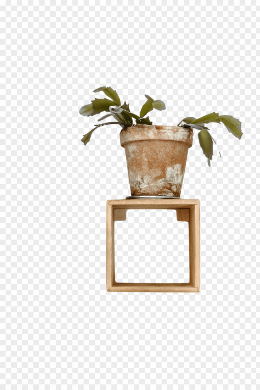 Flowerpot Loisir Créatif Bricolage Decoration Shelf PNG