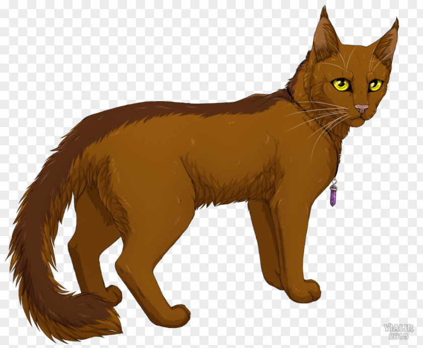 Kitten Whiskers Warriors Cat Tigerstar PNG