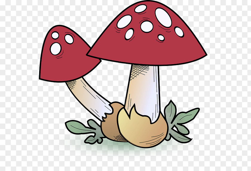 Agaricomycetes Fungus Mushroom Cartoon Clip Art Agaric PNG