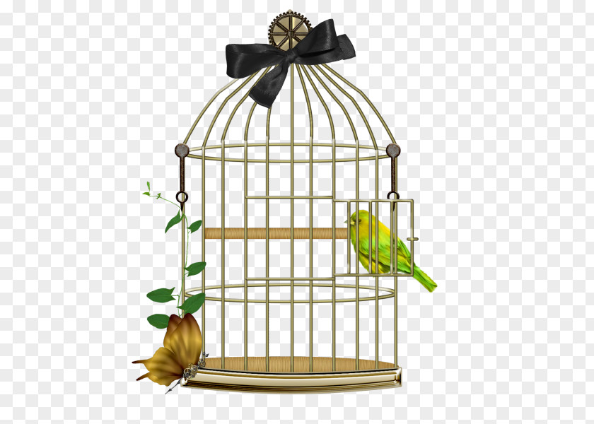 Bird Birdcage Lovebird PNG