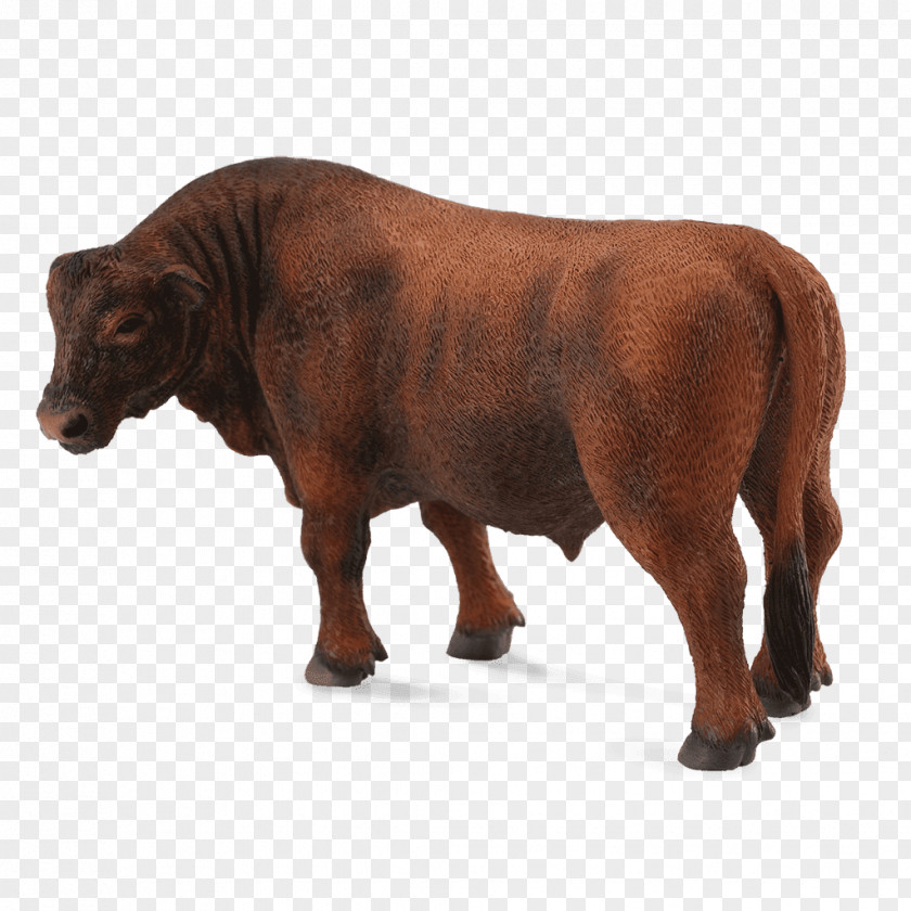 Bull Spain Angus Cattle Red Brahman Hereford Collecta PNG