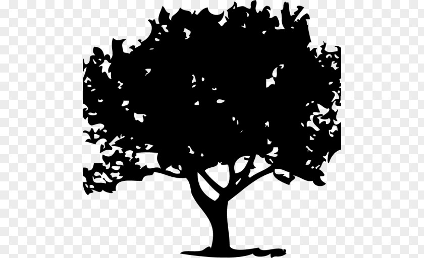 Marketplace Tree Deciduous Drawing PNG