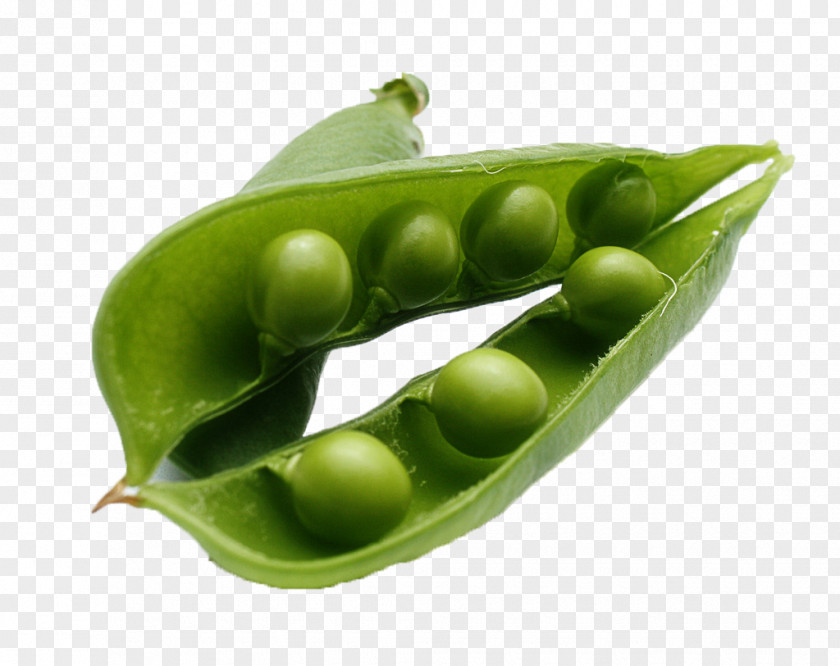 Pea Snow Vegetable Food Seed PNG