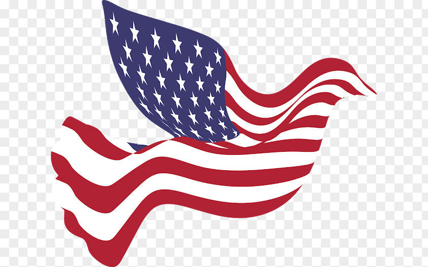 United States Of America Doves As Symbols Peace Image PNG