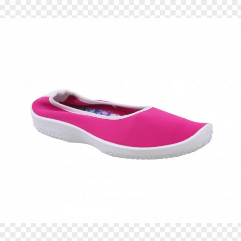 Ballet Flat Shoe PNG