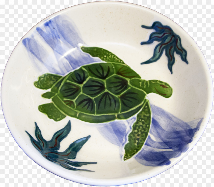 Bowl Of Pasta Sea Turtle Plate Porcelain PNG