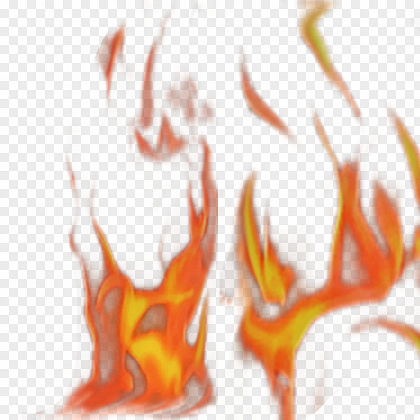 Burning Flame Combustion Fire PNG