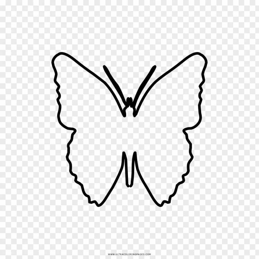 Butterfly Monarch Black And White Drawing Coloring Book PNG