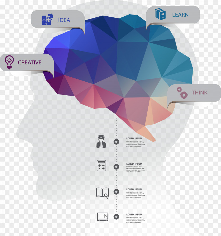 Creative Brain Function Information Vector Material Infographic Human Head PNG