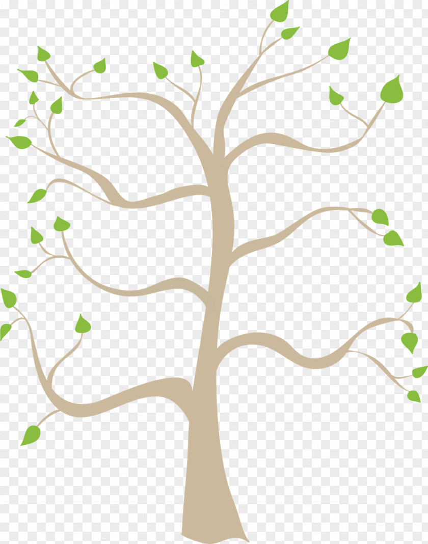 Family Tree Cliparts Free Content Clip Art PNG