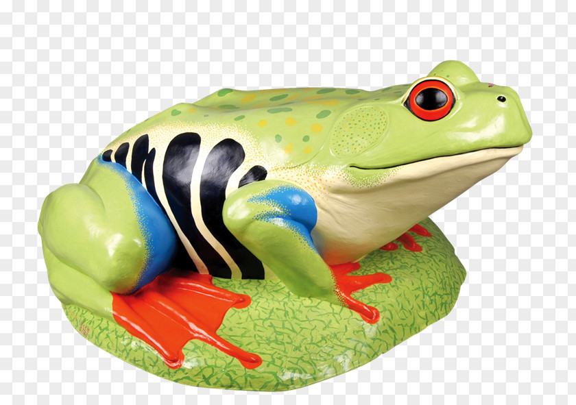 Rana American Bullfrog Toad True Frog Clip Art PNG