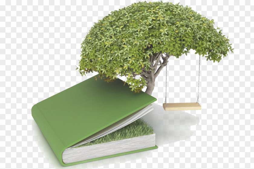 Tree Of The Knowledge Good And Evil Bonsai Stock Photography PNG