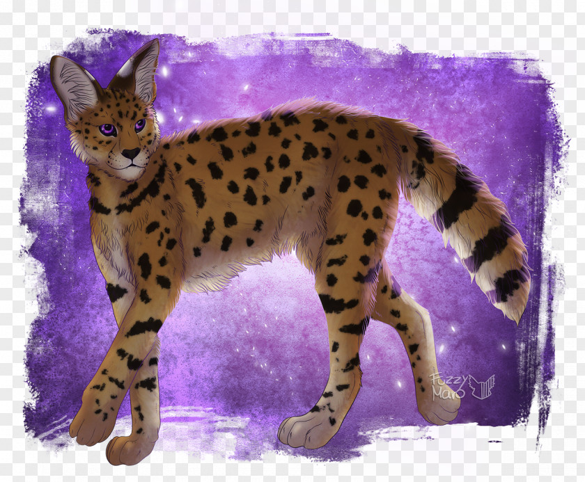 Cheetah Whiskers Wildcat Terrestrial Animal PNG