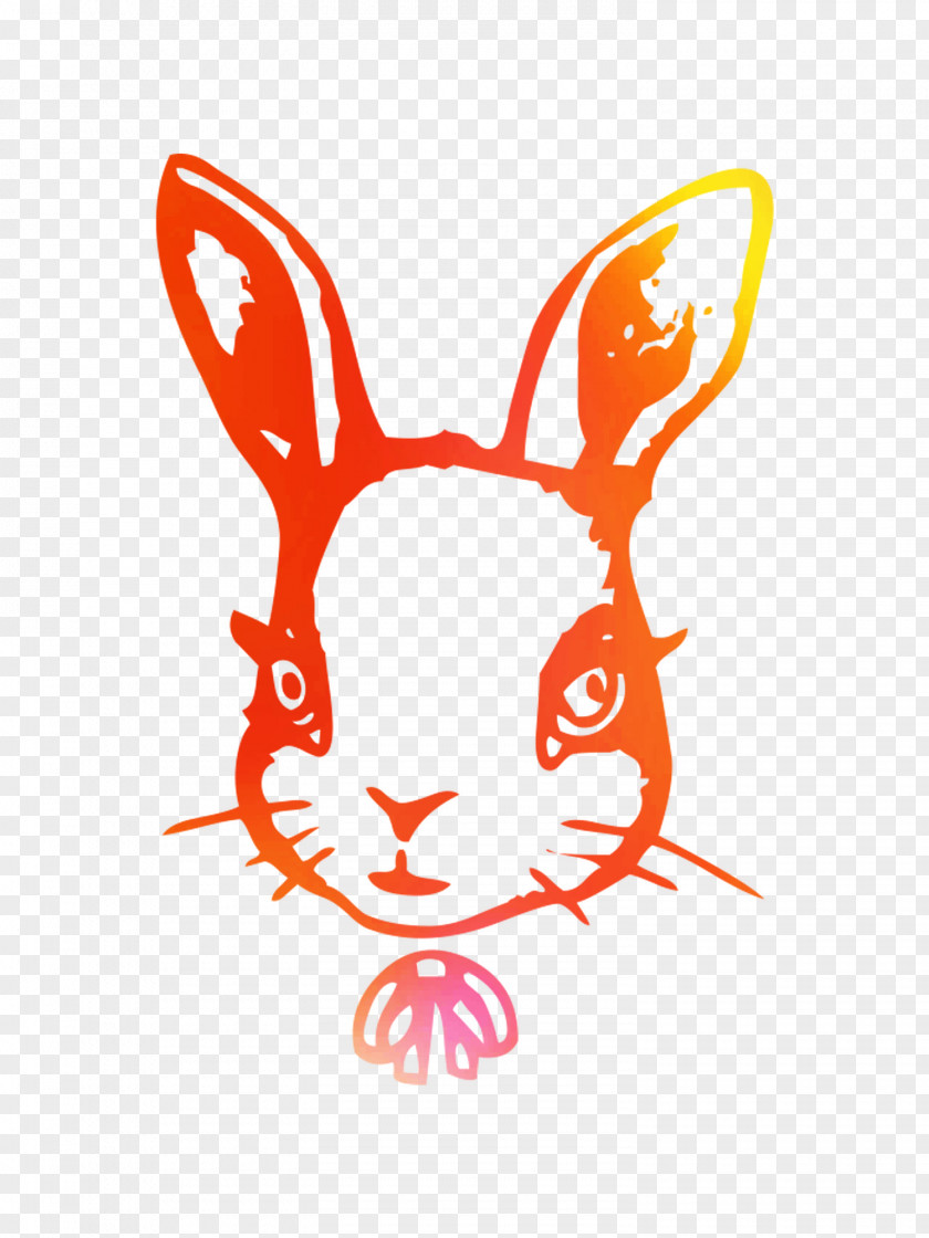 Domestic Rabbit Hare Easter Bunny Clip Art Illustration PNG