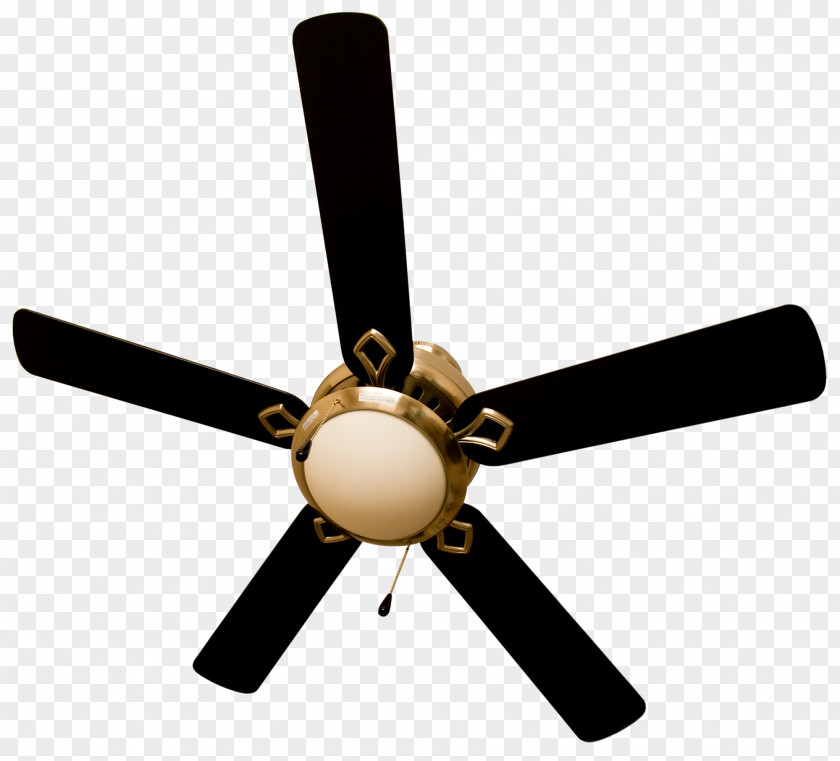 Fan Ceiling Fans Blade Crompton Greaves PNG