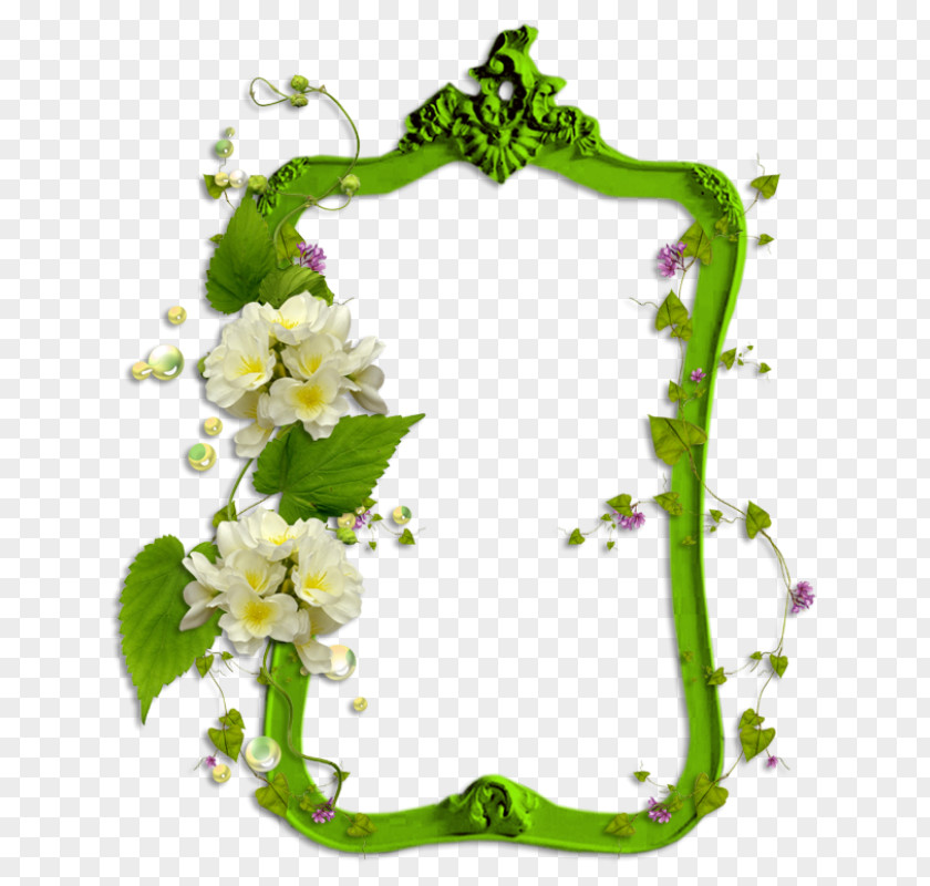 Green Frame Picture Photography Image Hosting Service PNG