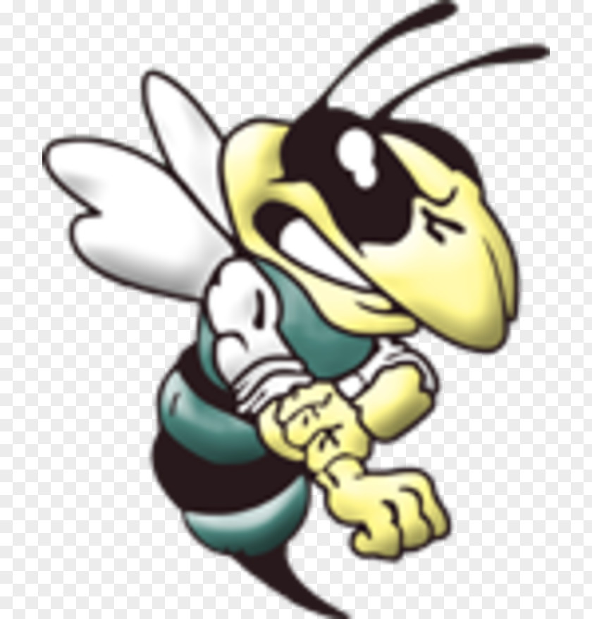 Yellowjacket Hornet Logo Georgia Tech Yellow Jackets Football Clip Art PNG