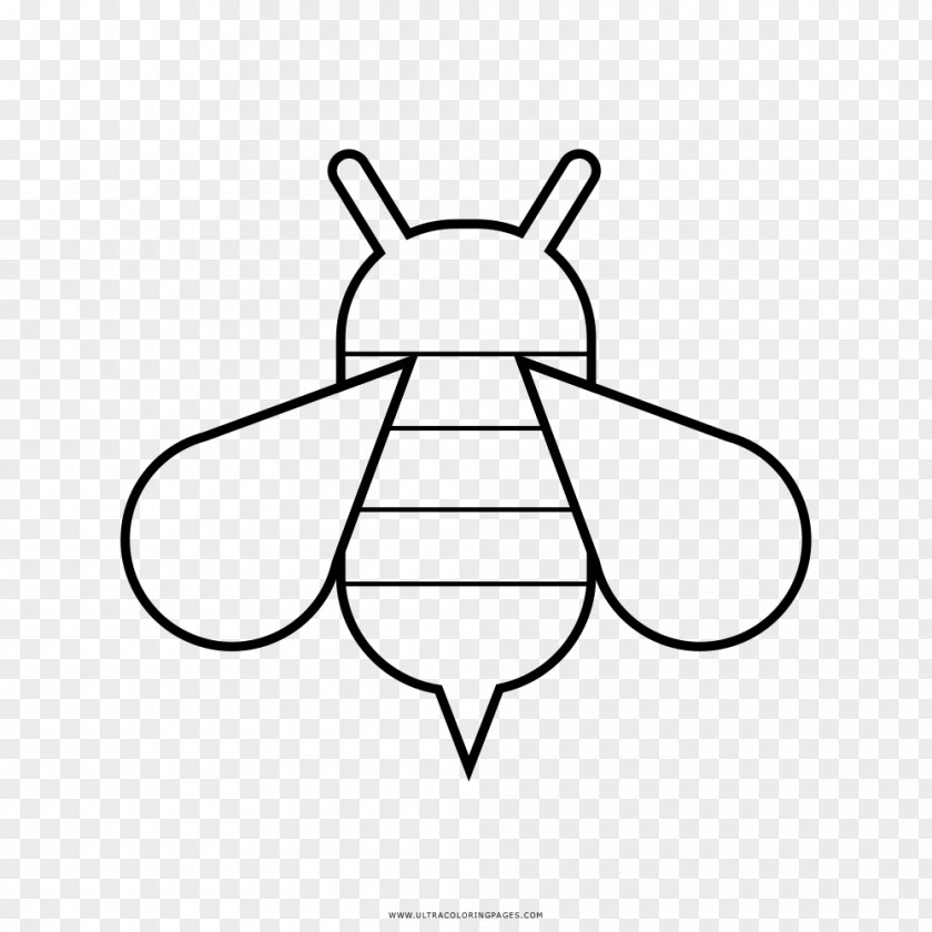 Bee Drawing Coloring Book Line Art PNG