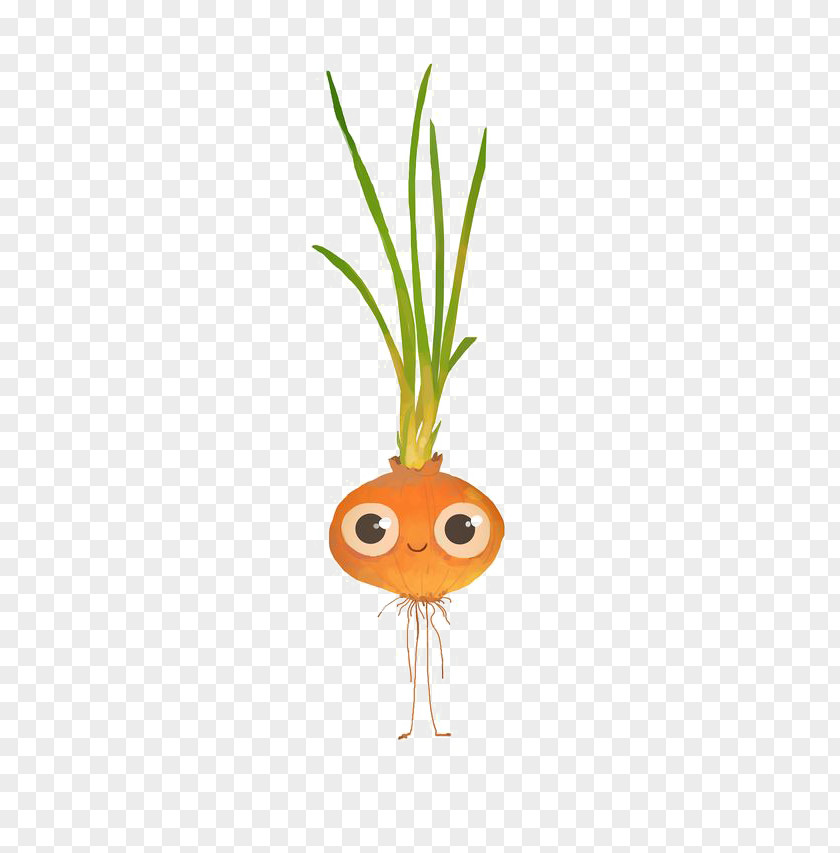 Cartoon Carrot Juice Vegetable PNG