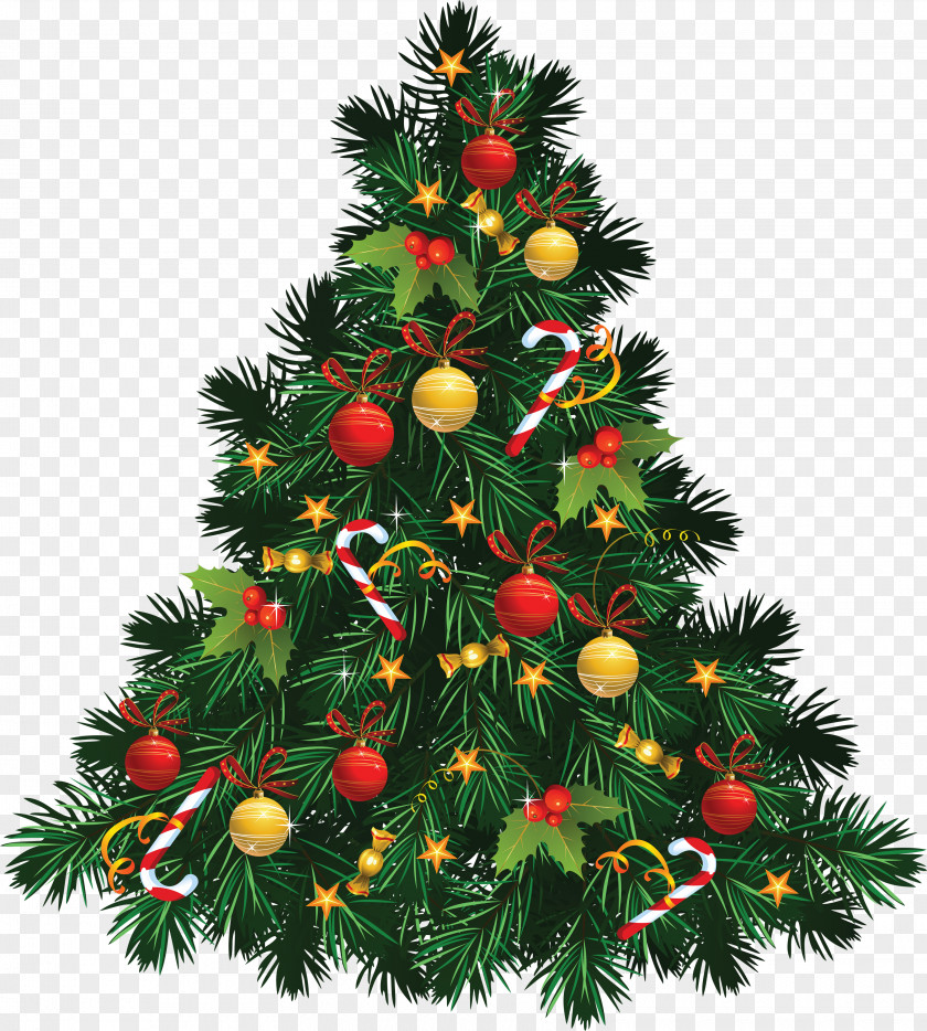 Christmas Fir-tree Image Tree Clip Art PNG