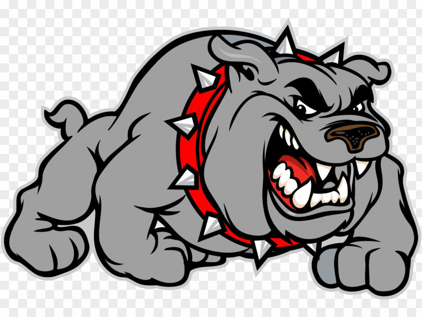 Georgia Bulldogs Bulldog Logo Uga Clip Art PNG
