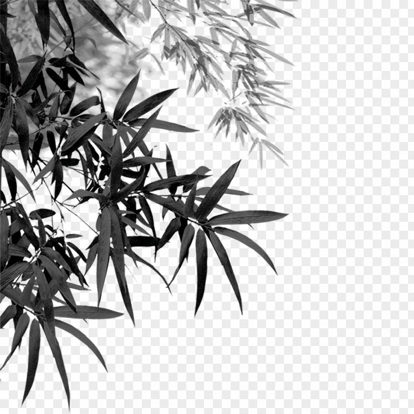 Bamboo Ink Brush PNG