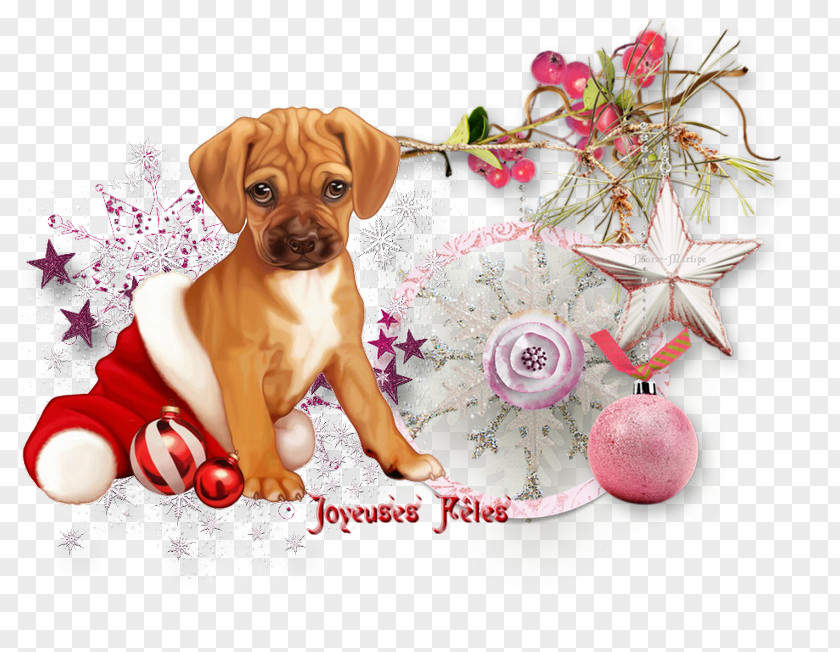 Boxer Companion Dog Christmas And New Year Background PNG