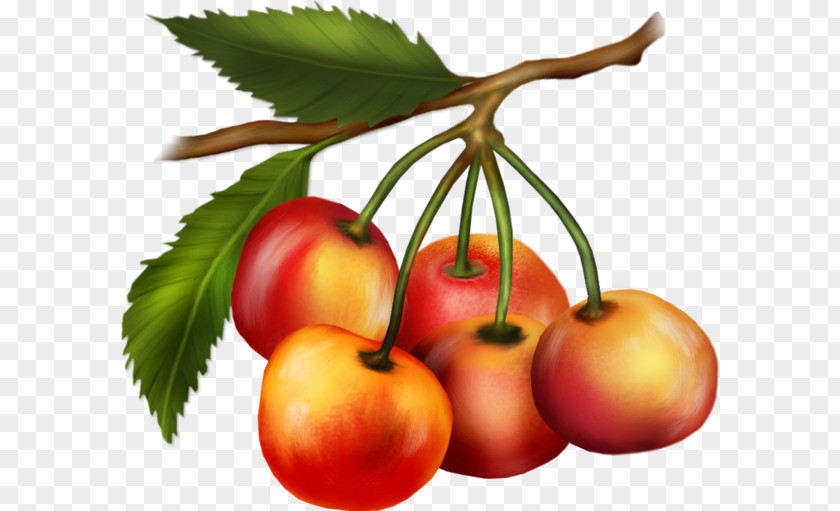 Cherry Bush Tomato Fruit Peach Vegetarian Cuisine PNG