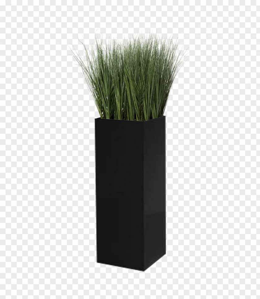 Design Grasses Flowerpot PNG