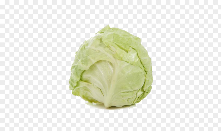 Free Cabbage Buckle Image Savoy PNG