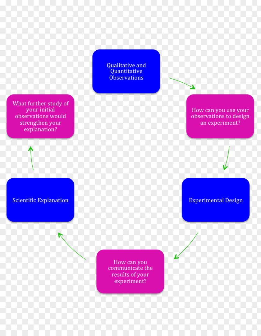 Line Brand Logo Organization PNG