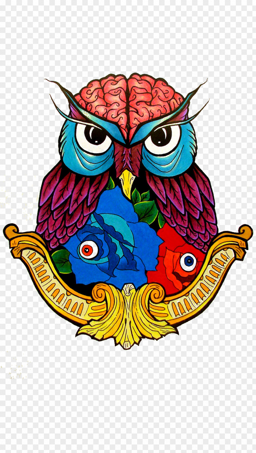 Owl Eastern Screech Coloring Book Bird Drawing PNG