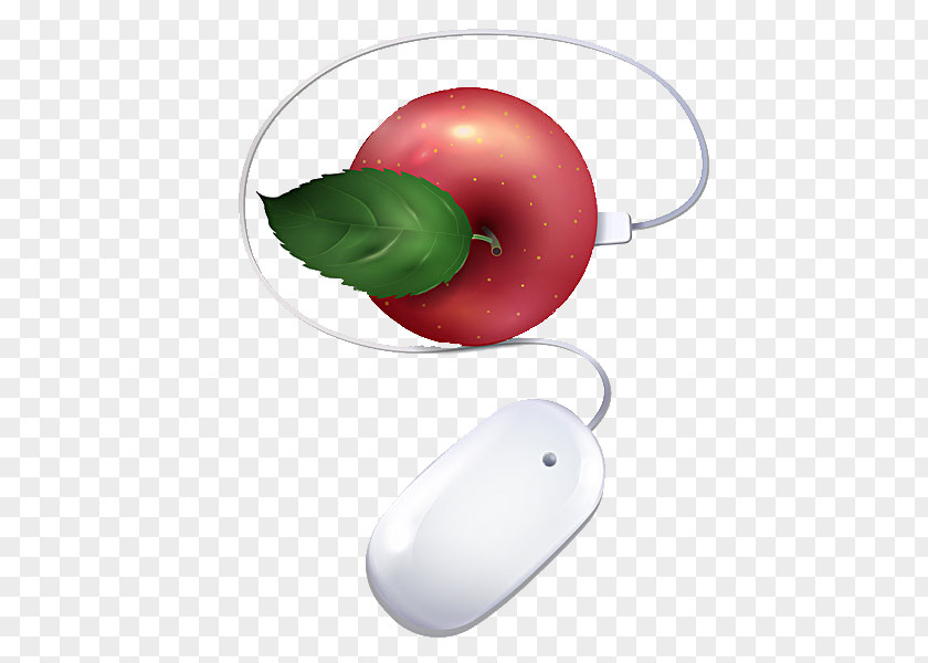 Apple And Mouse Computer Wireless PNG