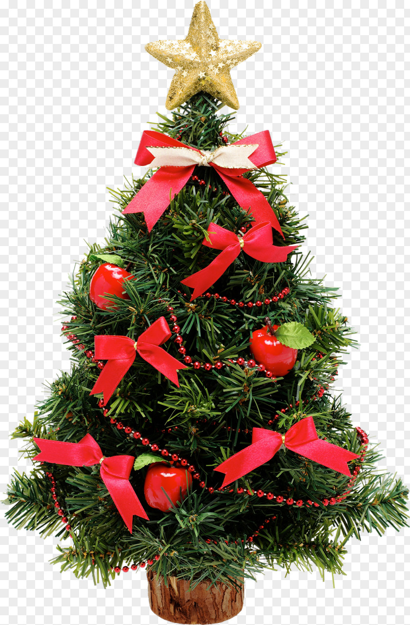 Decorate Christmas Tree Decoration New Year PNG