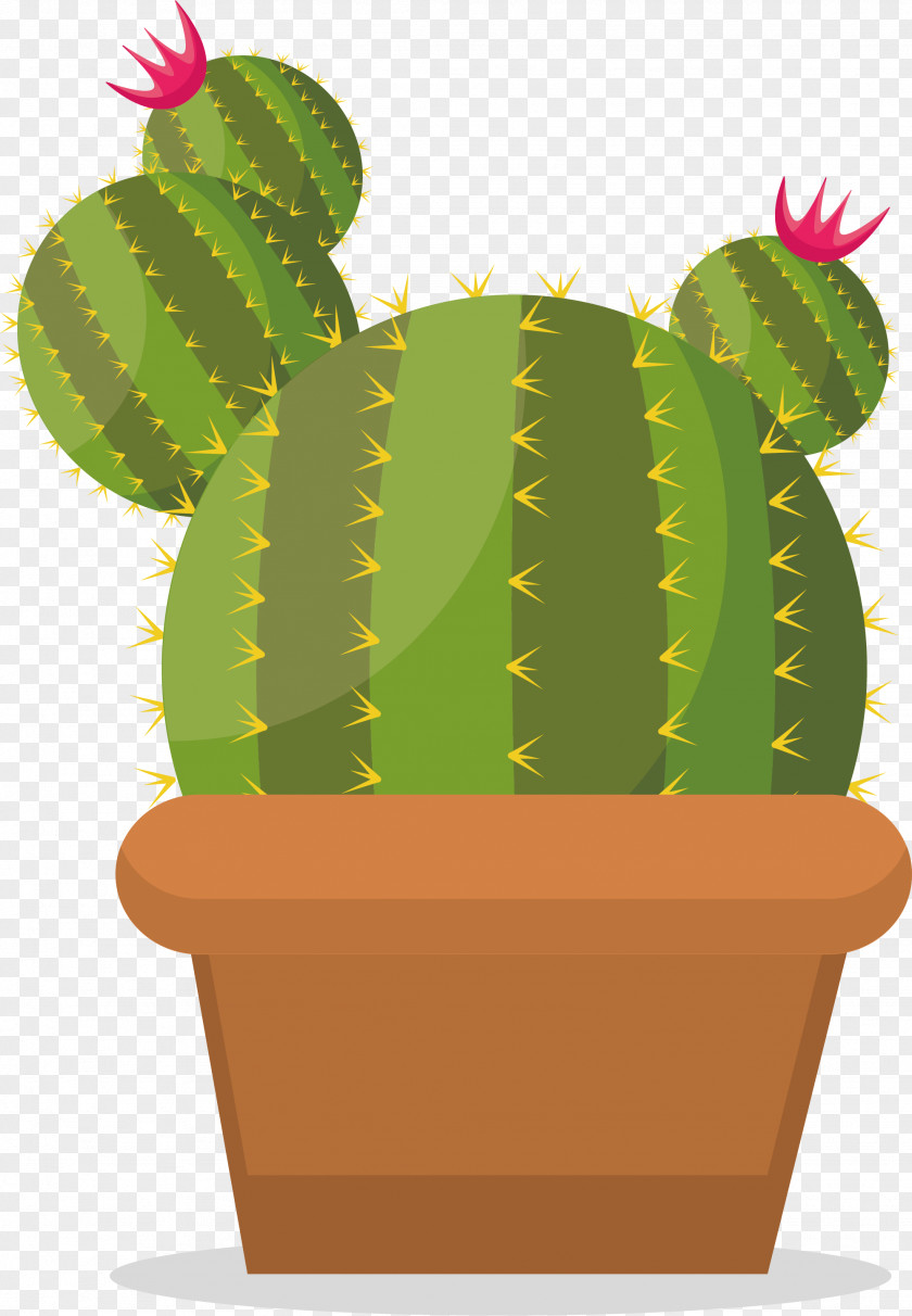 Green Cactus Prickly Pear Cactaceae PNG