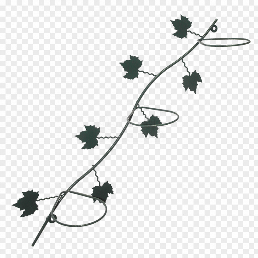 Line Flowering Plant Stem Leaf Angle PNG