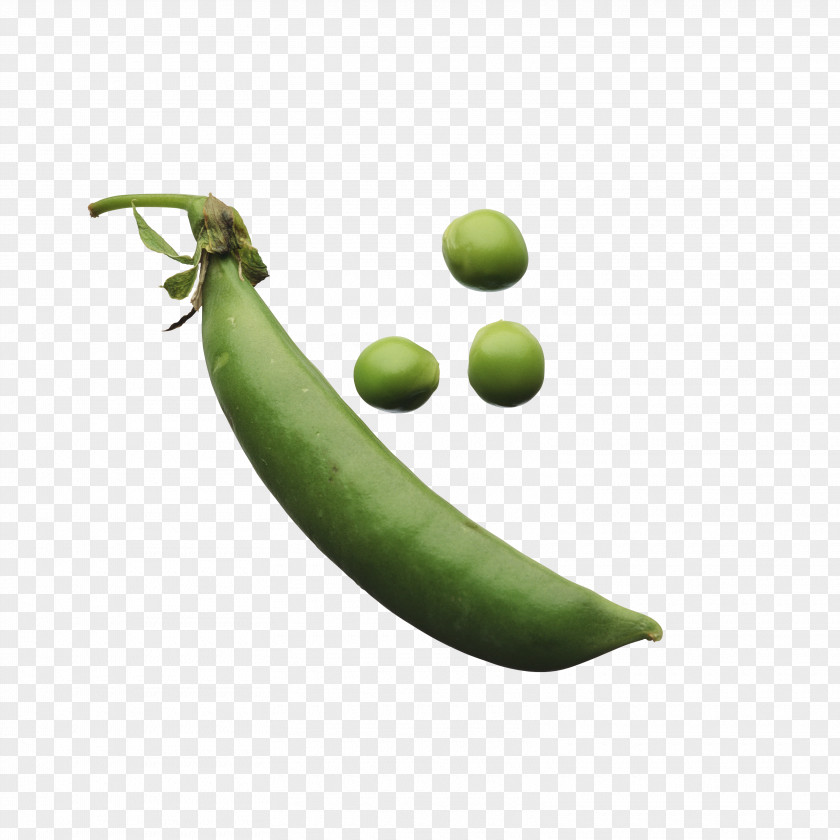 Pea Vegetable Food Legume Image PNG