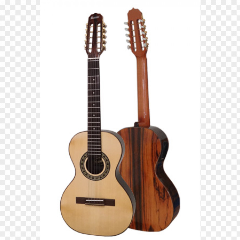 Viola Caipira Brazil Classical Guitar PNG