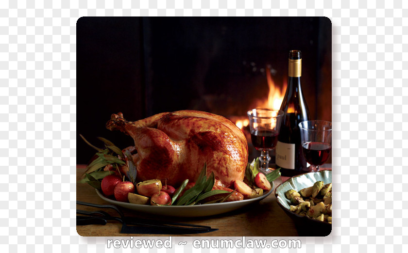 Wine Gravy Turkey Meat Thanksgiving PNG