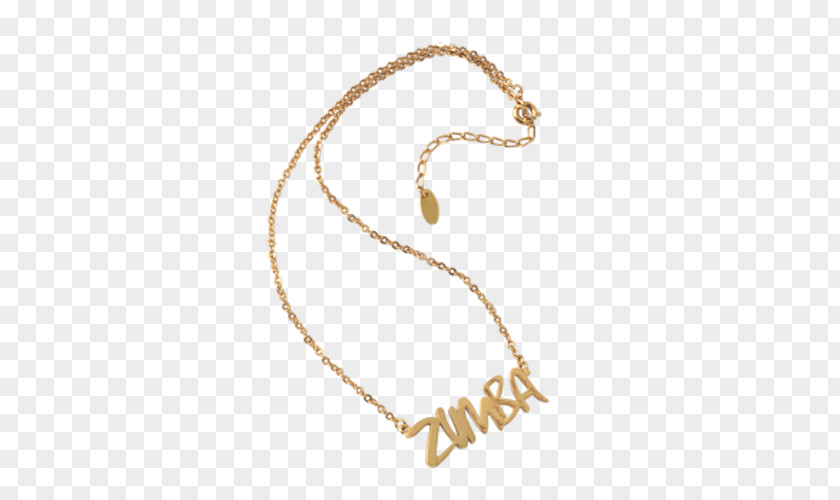 Zumba Jewellery Necklace Clothing Accessories Charms & Pendants Chain PNG