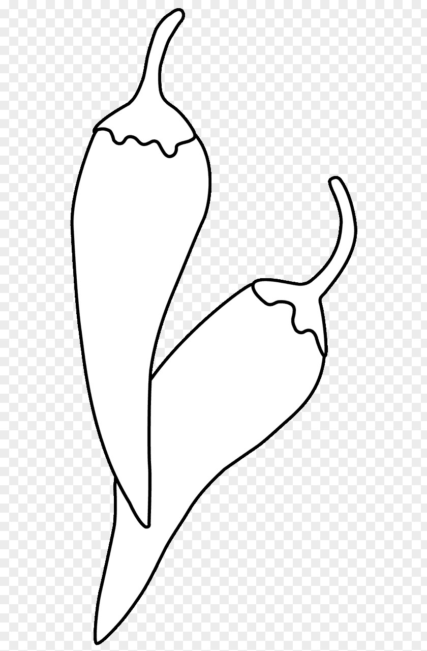 Black And White Manuscript Leaf Thumb Drawing Line Art Clip PNG