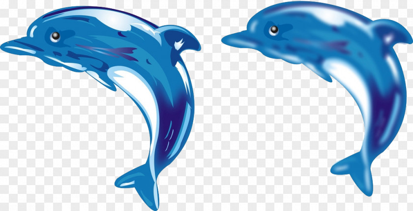 Blue Dolphin Common Bottlenose Tucuxi Tattoo PNG