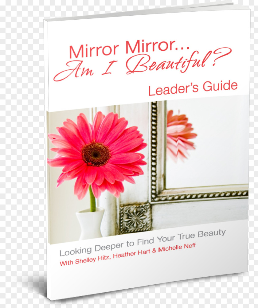 Book NIV True Images: The Bible For Teen Girls Mirror Mirror...Am I Beautiful? Amazon.com Mirror... Am Looking Deeper To Find Your Beauty PNG